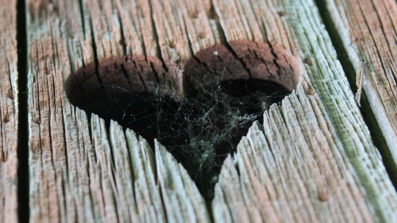 Plumpsklo-Türen hatten meist ein Herz im Holz.