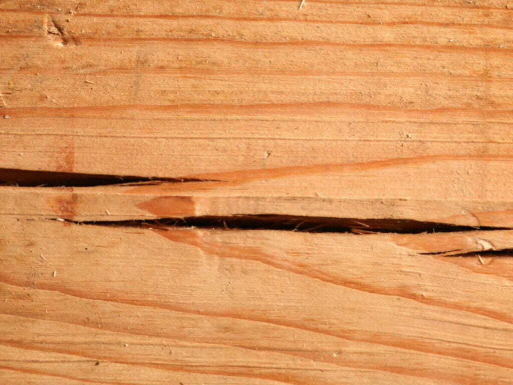 Ein Foto eines Trockenrisses in Holz.