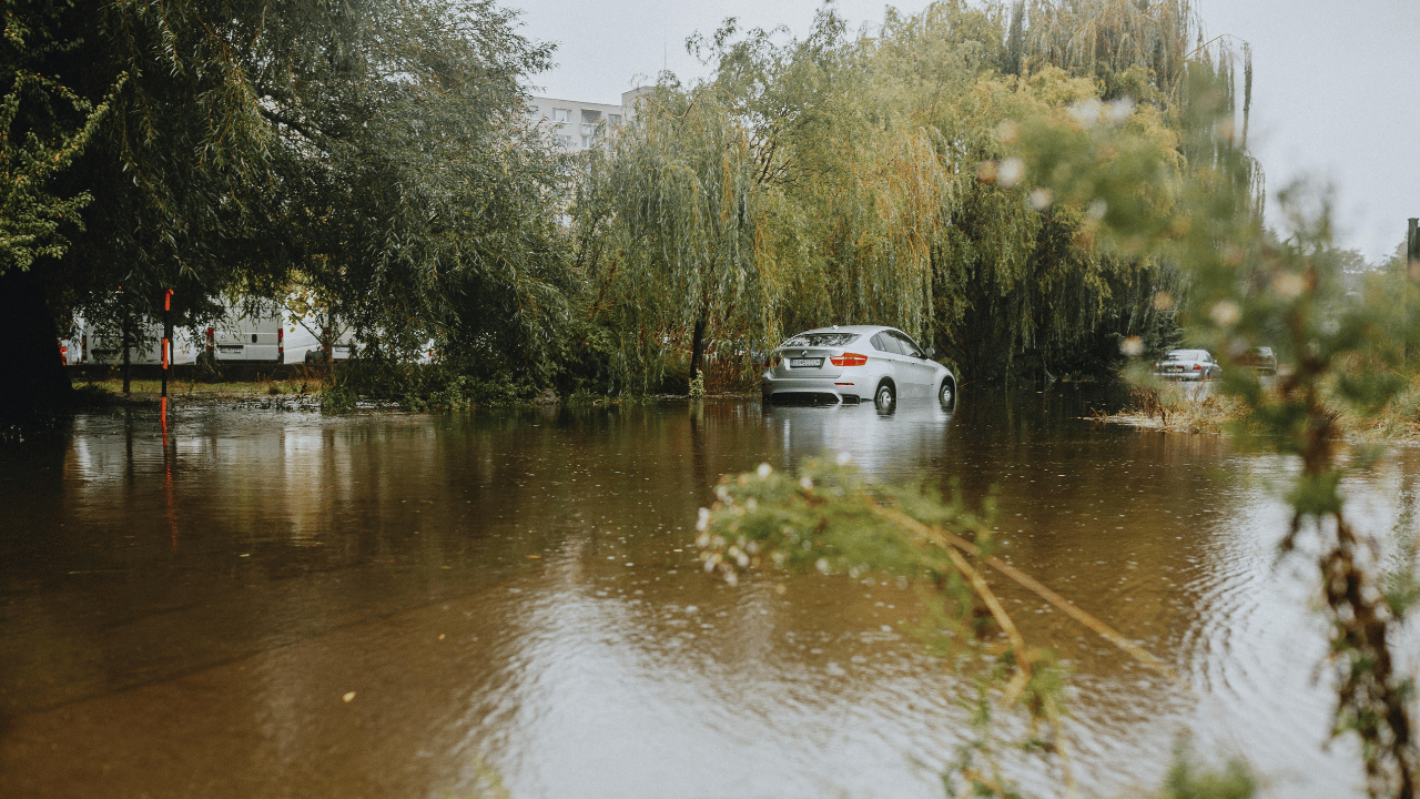 Auto steht in überfluteter Straße nach starkem Regen, umgeben von Bäumen.